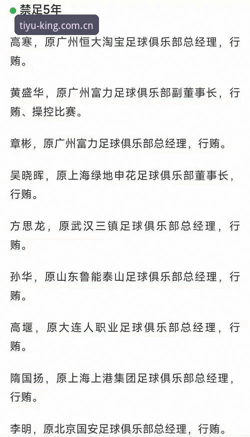 中国足协重拳出击——第三批禁足名单深度解读与使用教程